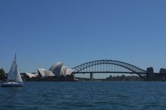opera house & harbour bridge