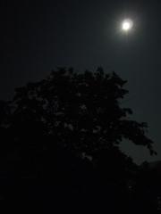 2012年8月の月　3
