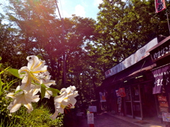 百合と商店