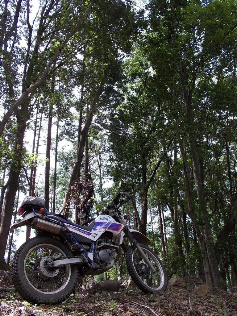 Ｓｅｒｏｗ225