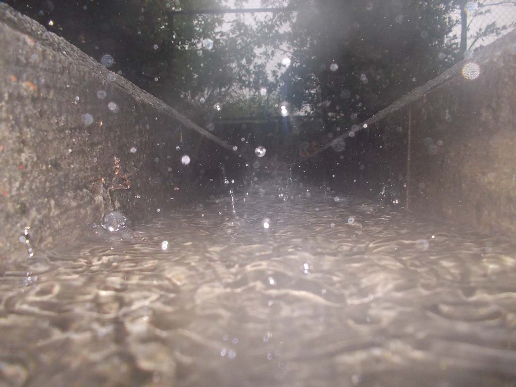 Raindrops.