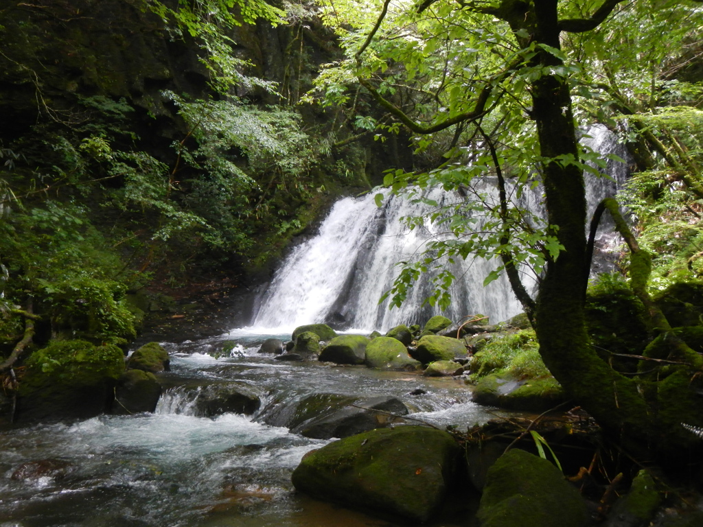 小滝‐Small cascade‐