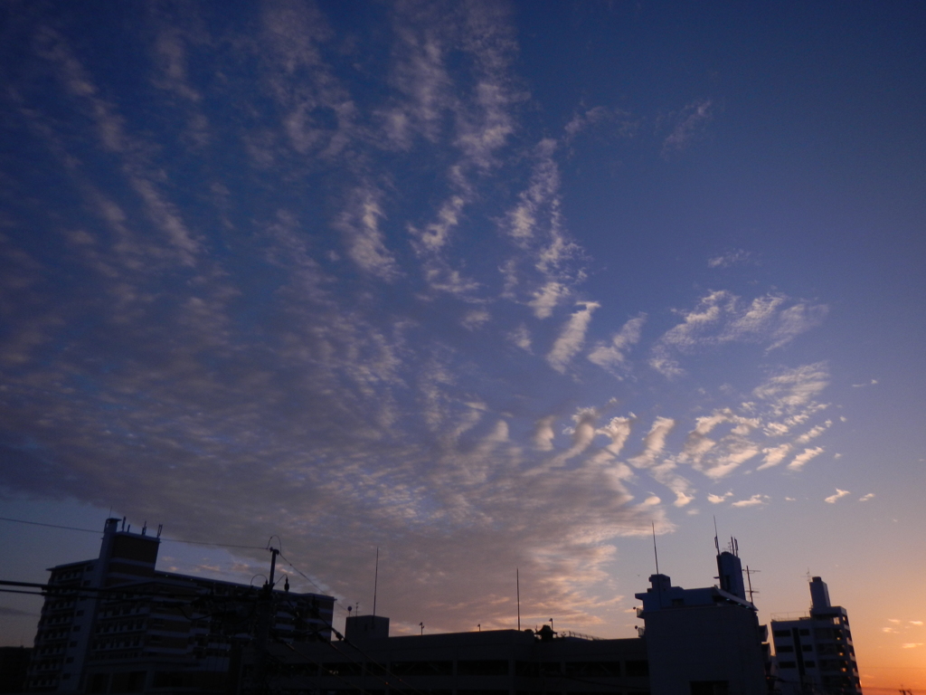 夕空の鰯雲