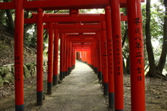 名島 豊川稲荷神社②