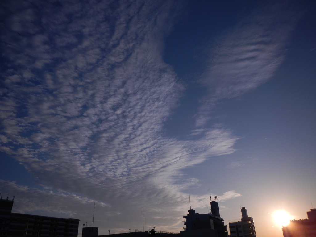 鰯雲と夕日