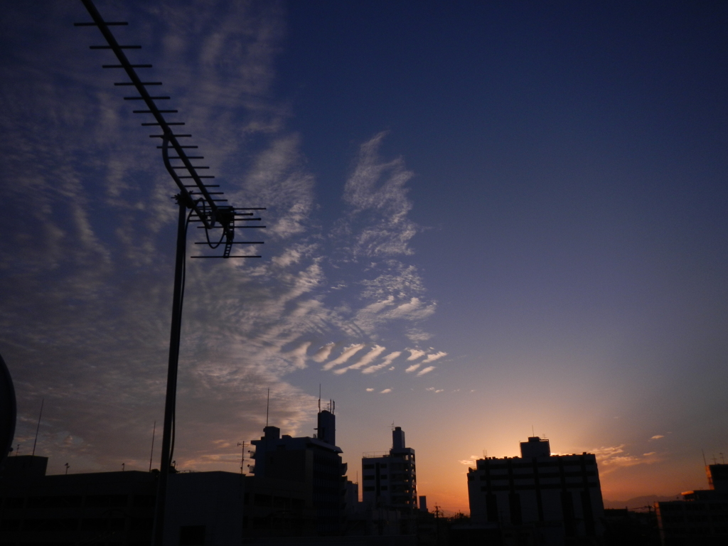 鰯雲とアンテナ