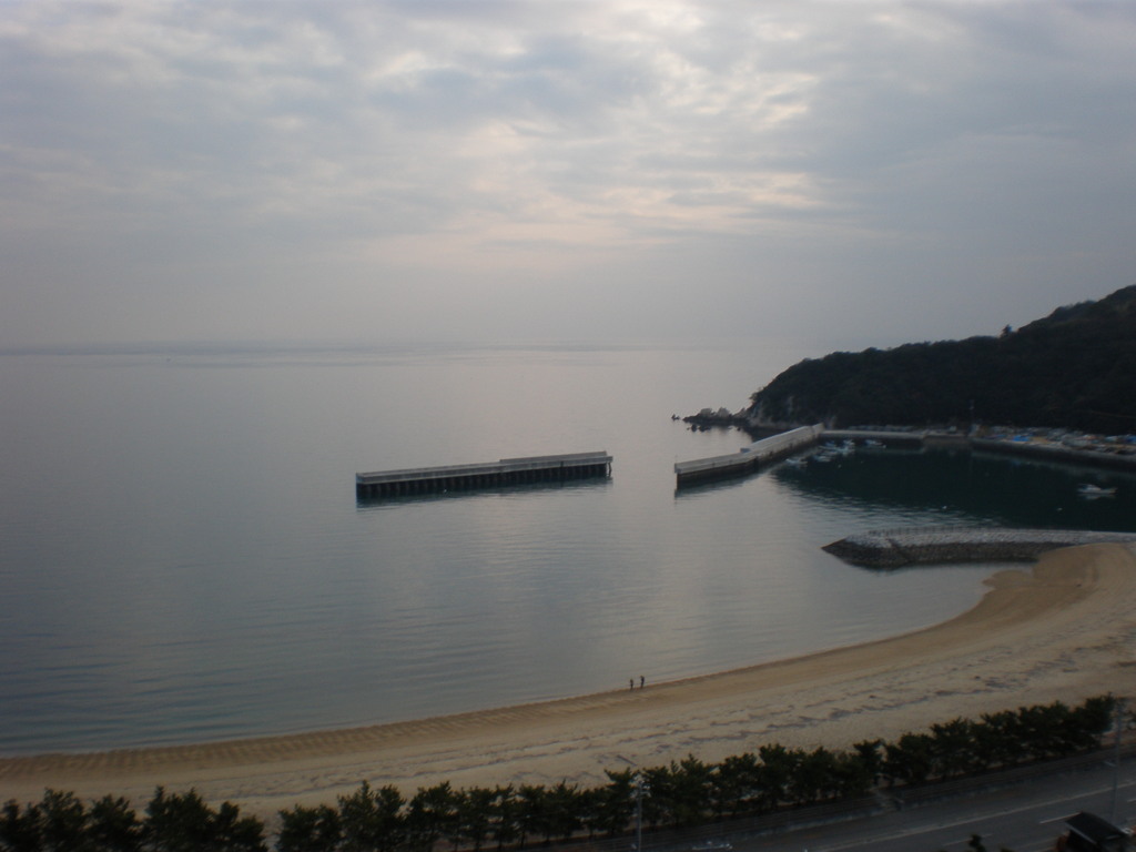 冬のさみしげな海