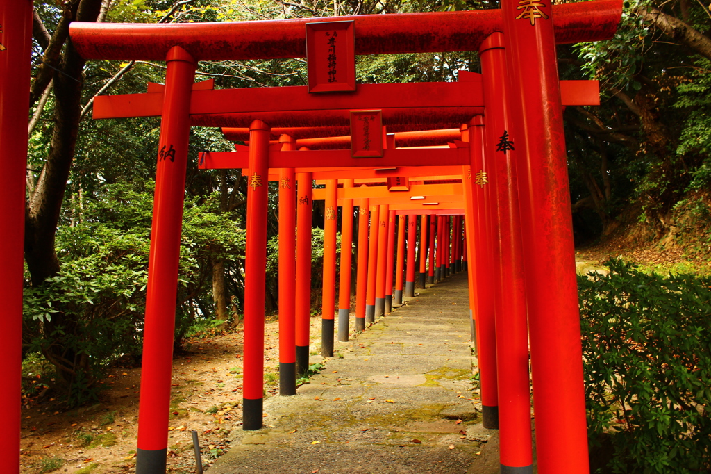 名島 豊川稲荷神社①