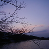 真冬の堀
