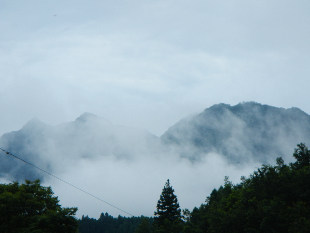 霧深い熊本の山