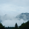 霧深い熊本の山