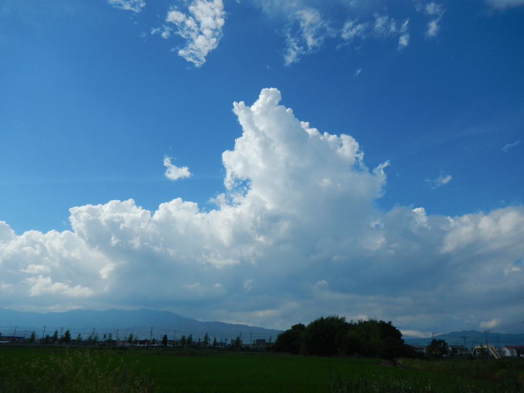 ある夏の日の入道雲