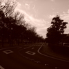 road