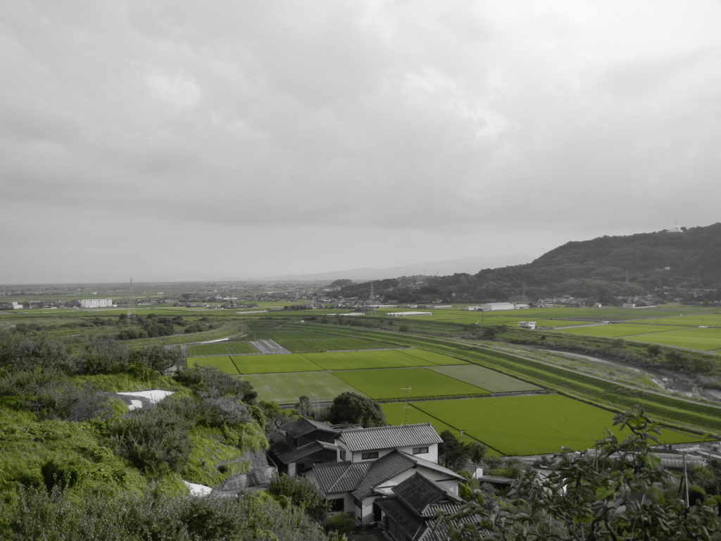 田舎の風景