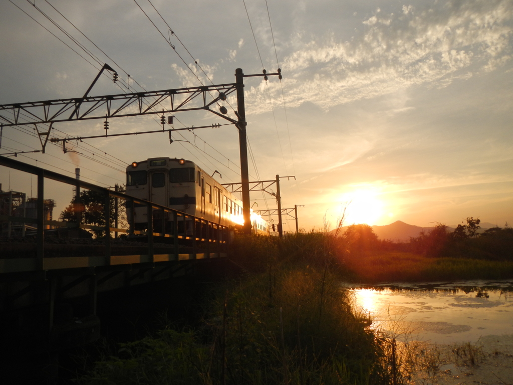 秋野夕日と電車