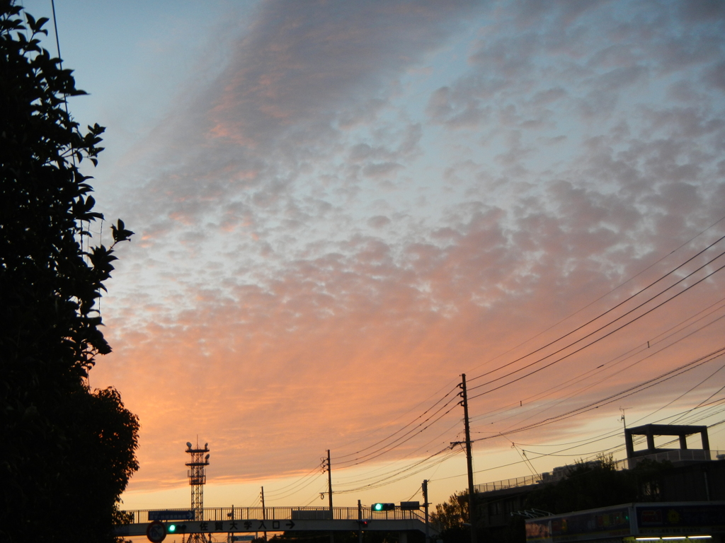 夕焼け