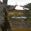 雪の積もった金閣寺