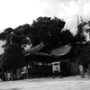 田舎の丘の上にそびえる神社①