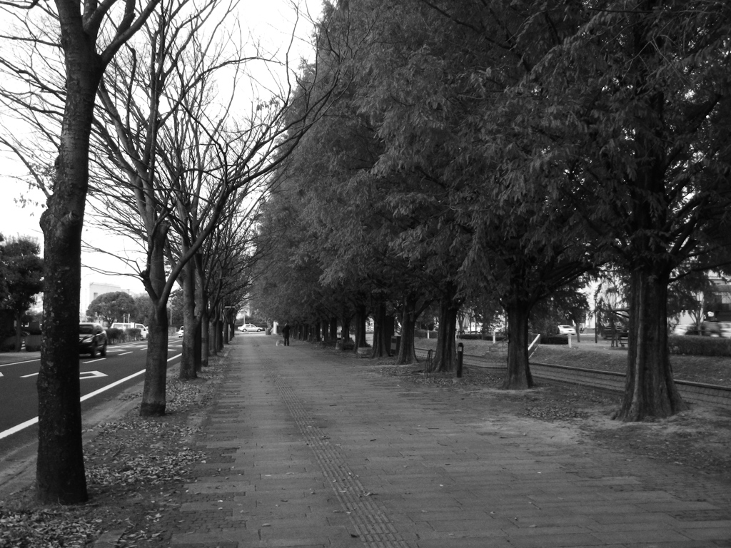 Winter road