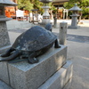 亀①