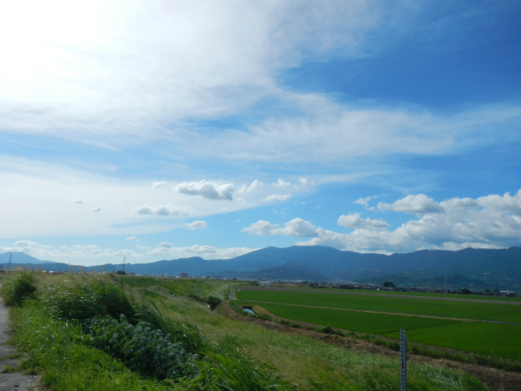 遥かな青空