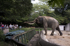 王子動物園