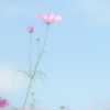 遠い記憶。。♪