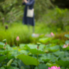 蓮池のひと。。♪