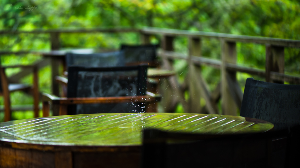 雨の日のデッキ。。♪