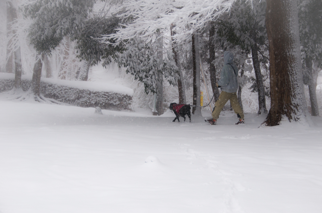 雪の日に。。♪（２）