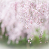 遊びに来たよ。。♪