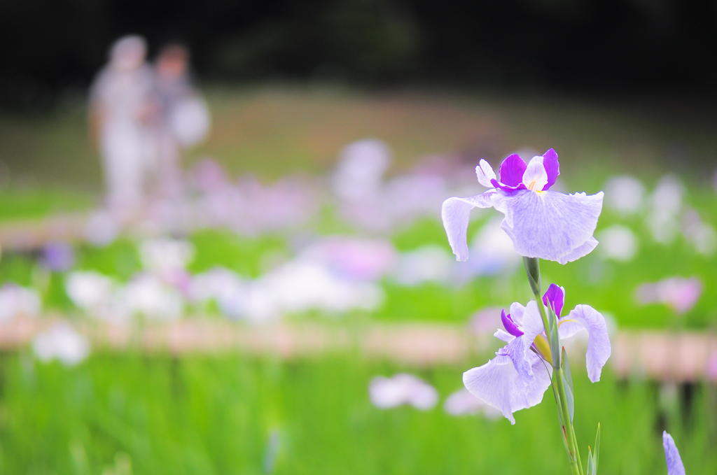 かっぷる。。♪