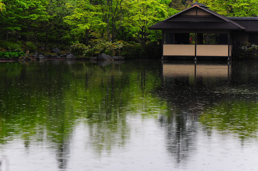 春雨。。♪