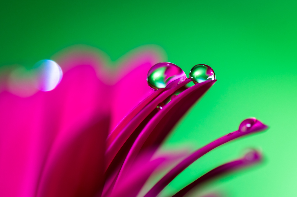 ＧＲＥＥＮ。。♪