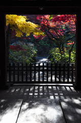 紅葉の門。。
