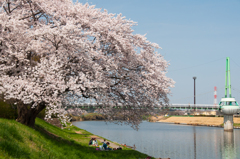 お花見日和。。♪