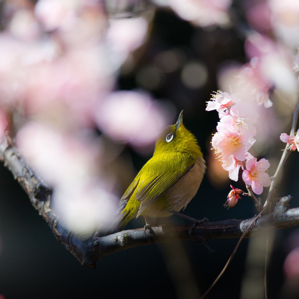 見上げる想い。。♪