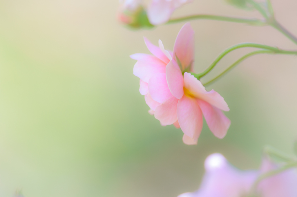 横顔。。♪