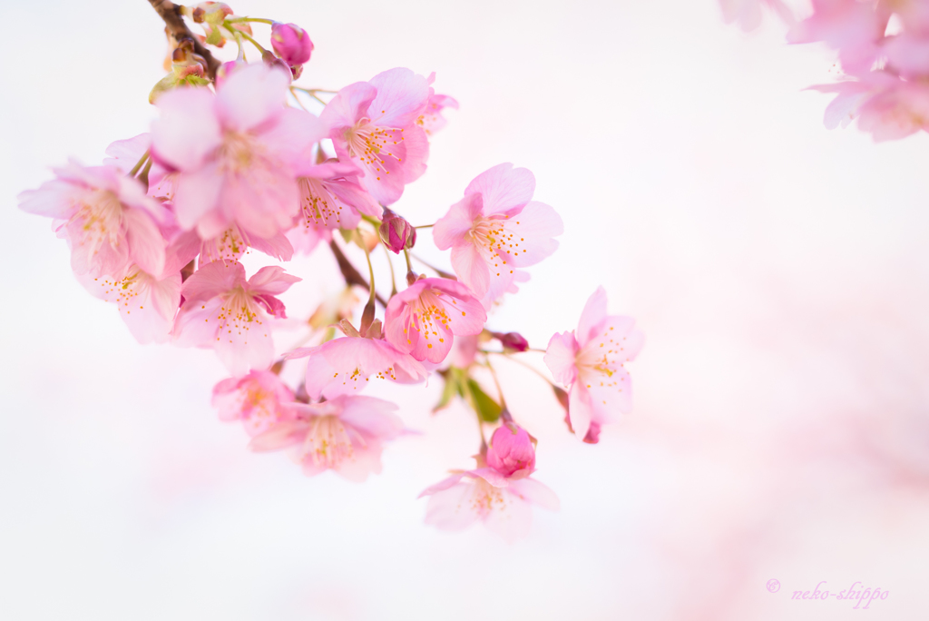 微笑み。。♪