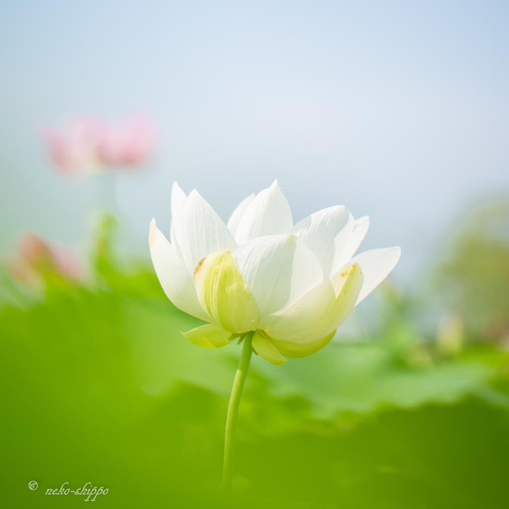 爽やかに。。♪