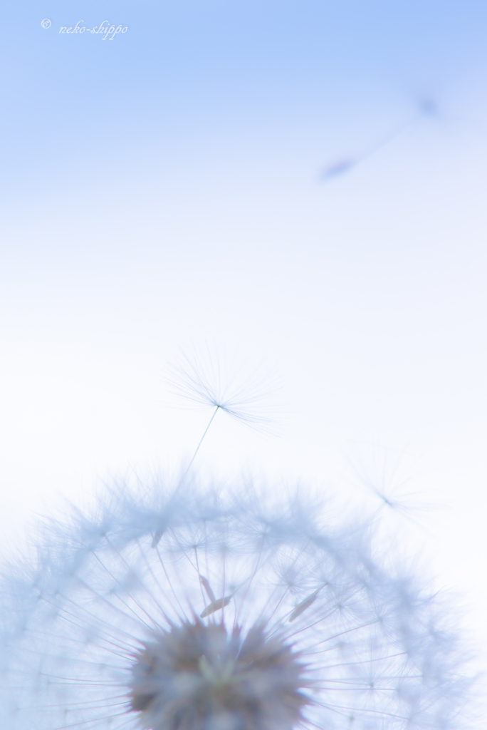 あの空に。。♪