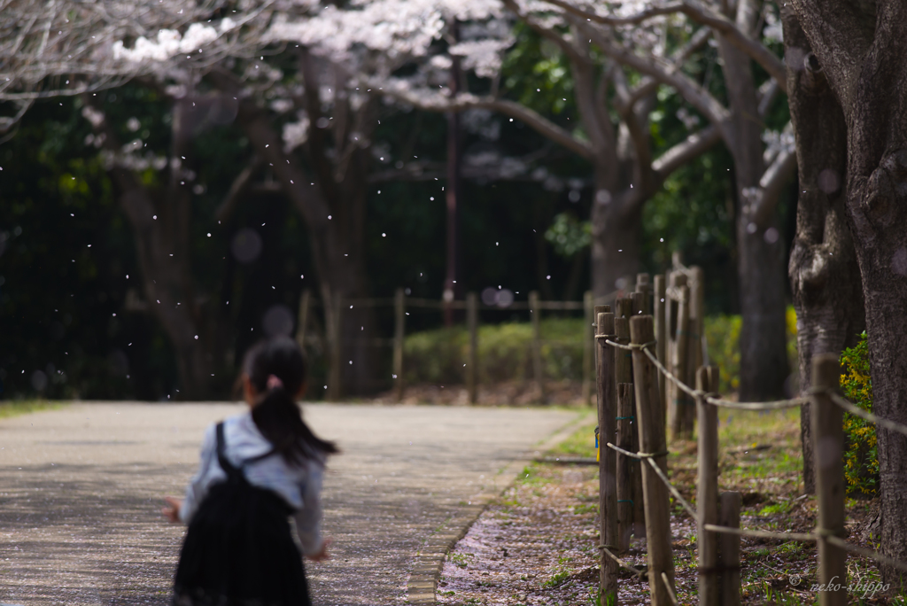 春風さんの贈り物。。♪