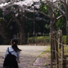 春風さんの贈り物。。♪