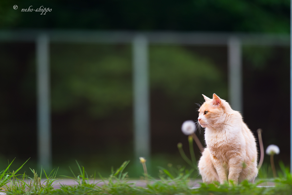 視線の先に。。♪