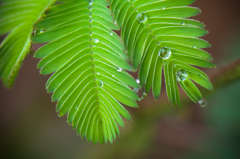 雨上がりのメロディー。。♪