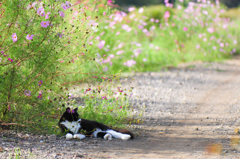 僕のお気に入り。。♪