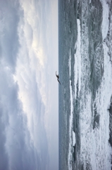 鹿の浦