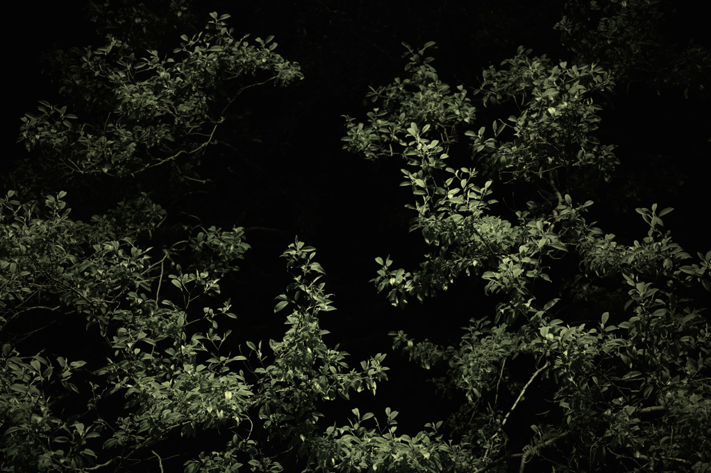 SDIM92001