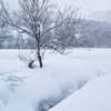 SDIM2316