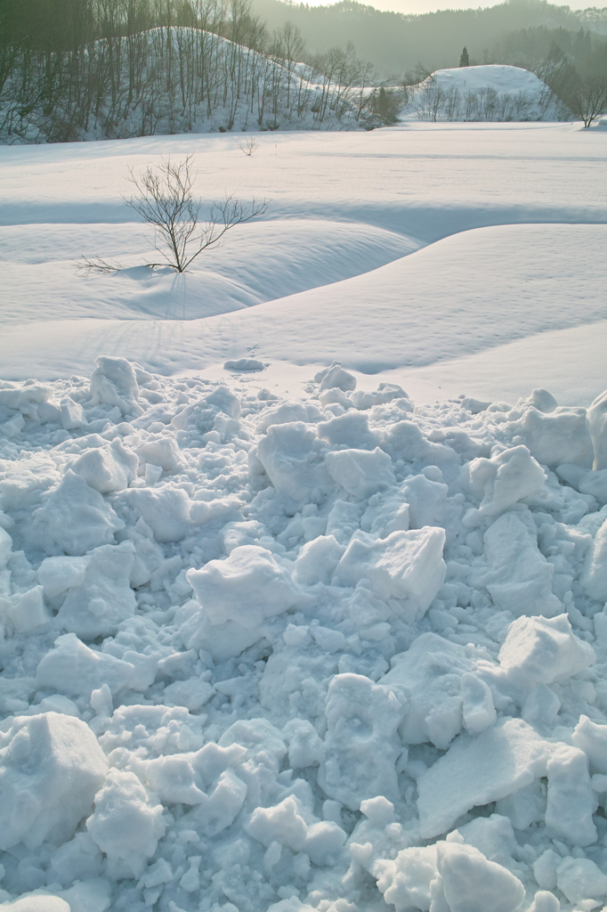 屋根の雪